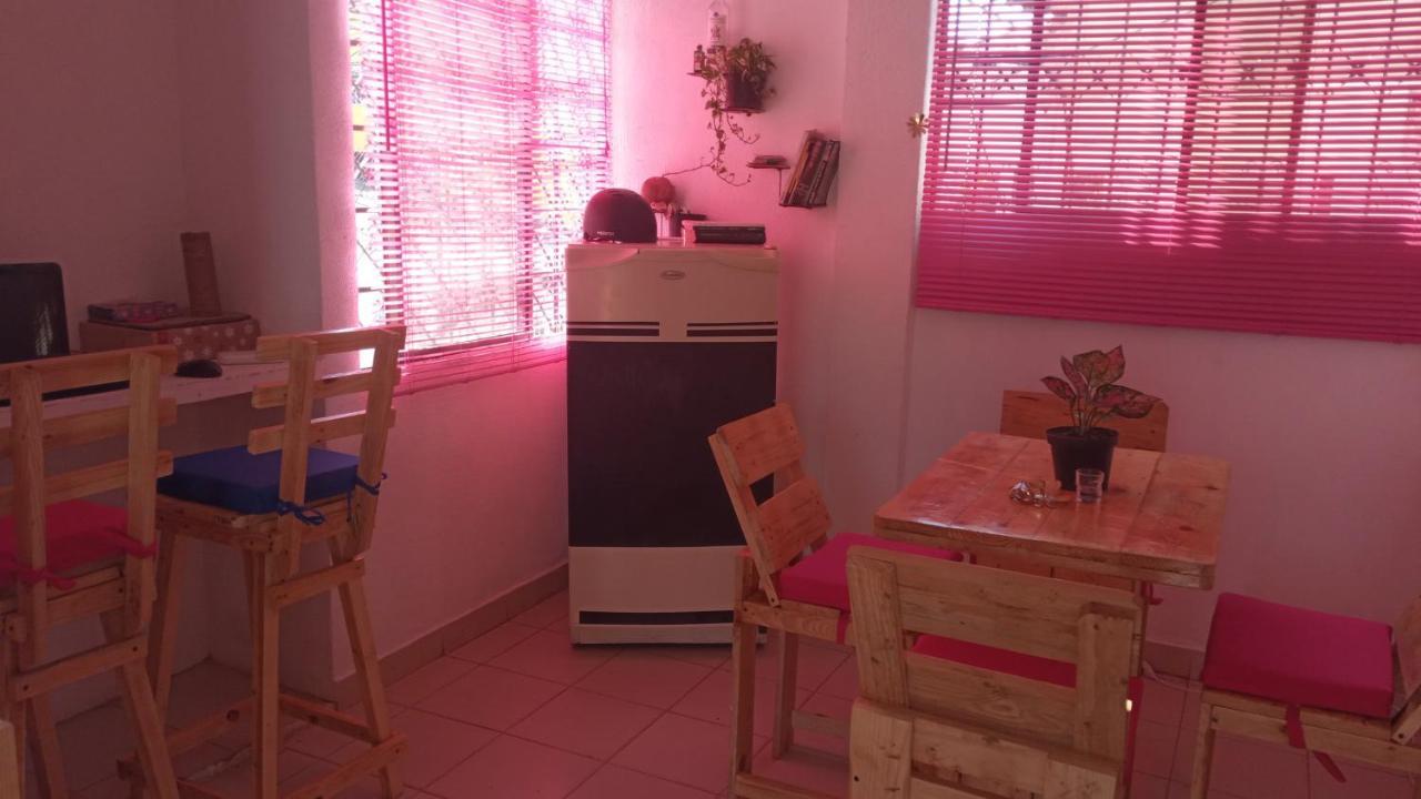 شقة Cartagena  في Cat Family Lodging المظهر الخارجي الصورة