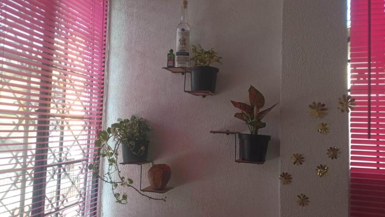 شقة Cartagena  في Cat Family Lodging المظهر الخارجي الصورة