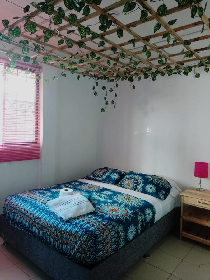 شقة Cartagena  في Cat Family Lodging المظهر الخارجي الصورة